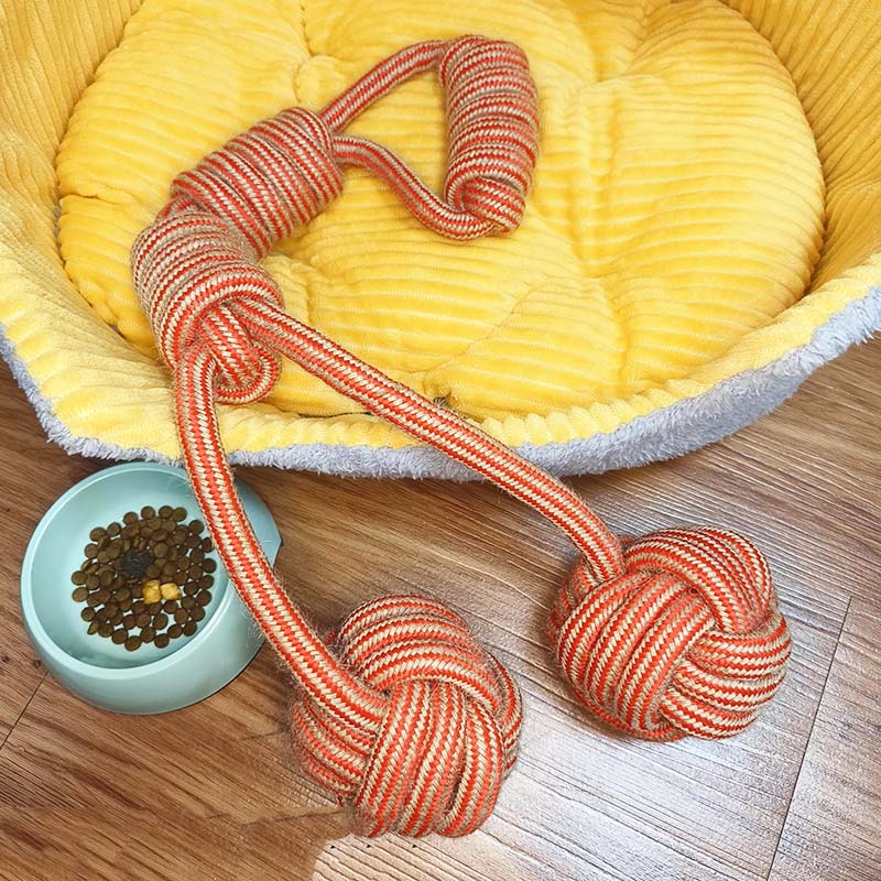 Hur man tvättar Pet Play Toys: En komplett guide