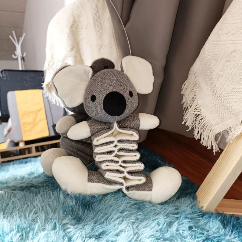 Vad ska jag vara uppmärksam på när jag köper Pet Play -leksaker för katter?