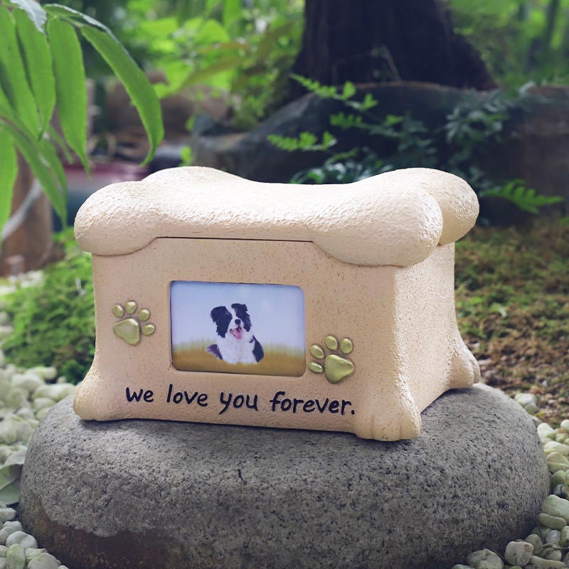 Resin Pet Memorial Urna Med Bildram